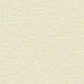 Off-white leather texture with a pebbled grain, subtle sheen, and warm ivory tone; brand text “bross > leather > col. 342” in lower right.